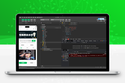 2025去水印小程序源码发布：免服务器+流量主功能集成
